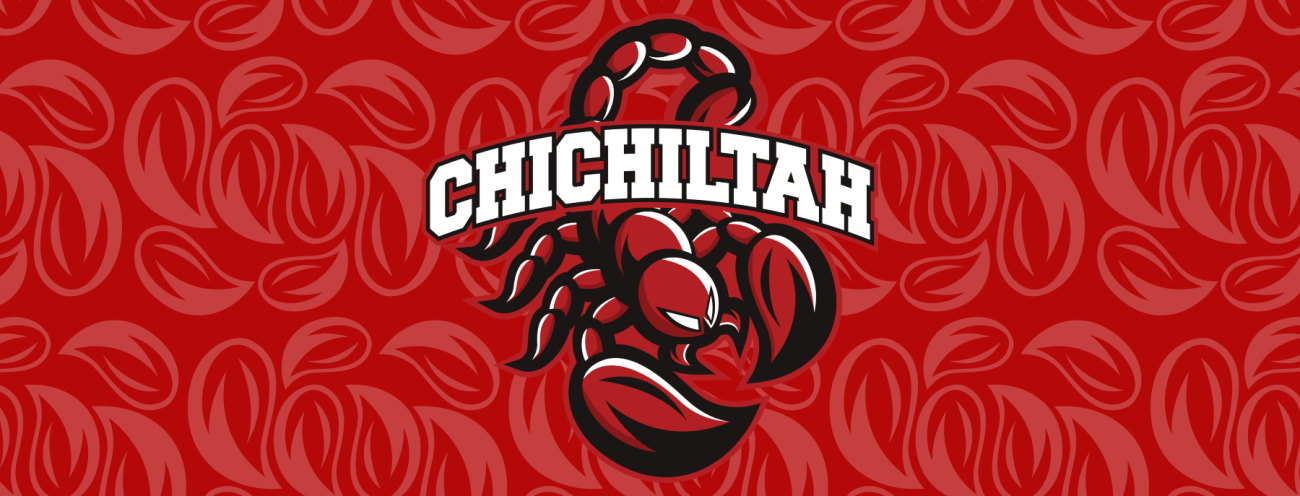 Chichiltah Jones Ranch Community School Scorpion